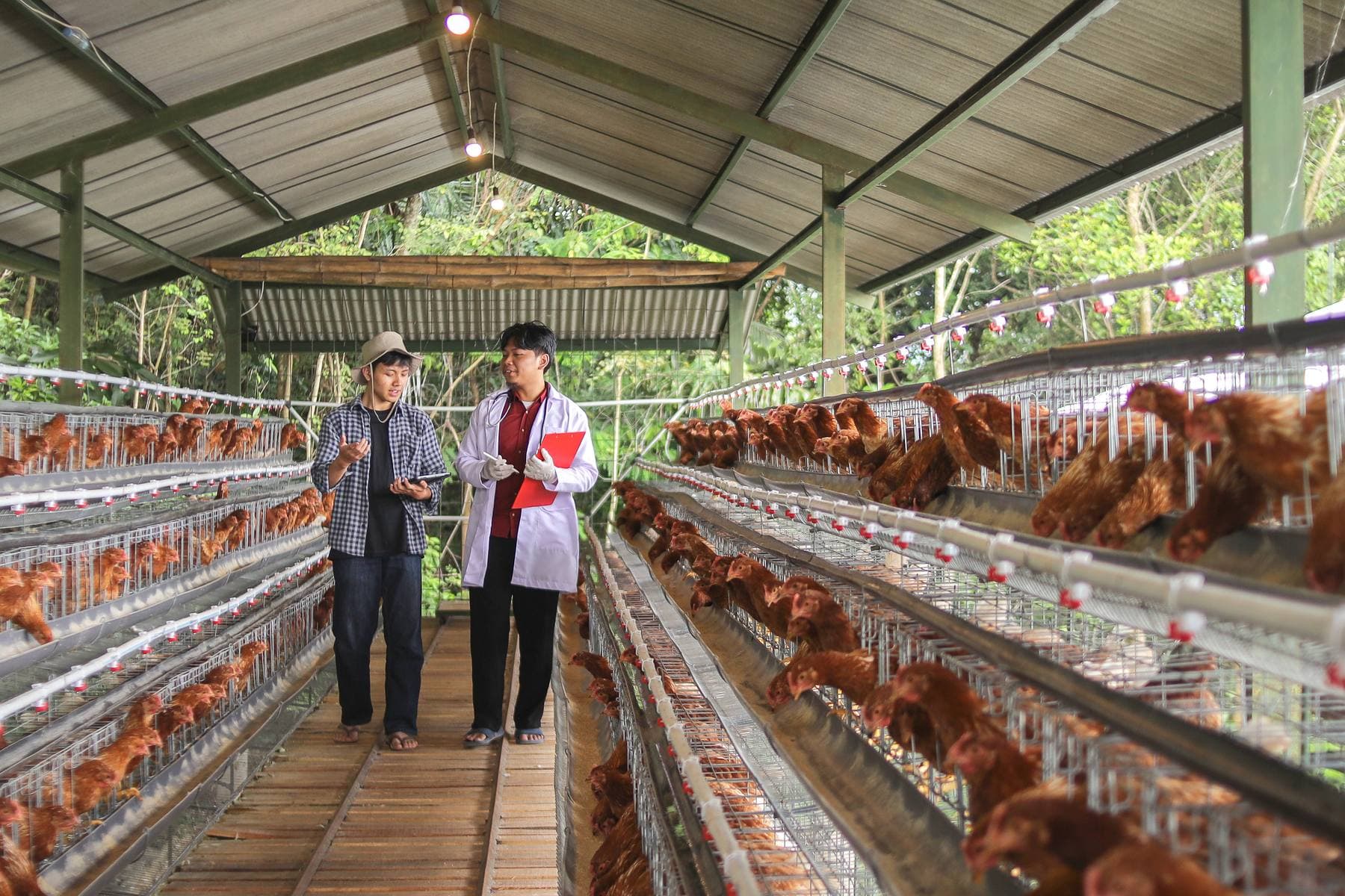 How it works farm record review example